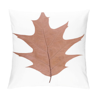 Personality  Oak Leaf As Autumn Symbol Pillow Covers