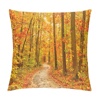 Personality  Pathway In The Autumn Forest Pillow Covers