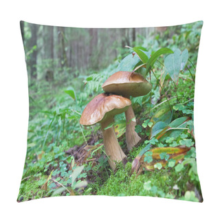 Personality  Forest Mushrooms In The Grass Pillow Covers