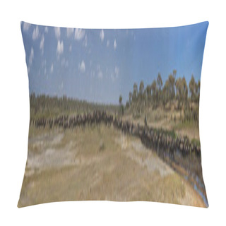 Personality  Wildebeast Migration Pano Pillow Covers