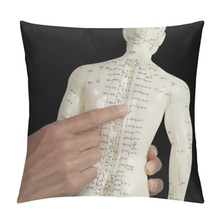 Personality  Acupuncturist Pointing To BL17 On Acupuncture Model Pillow Covers