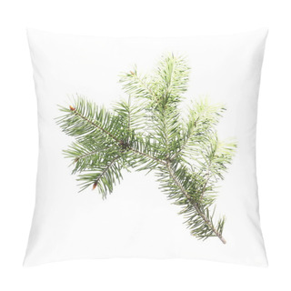 Personality  Pine Branch Isolated On White Background Pillow Covers