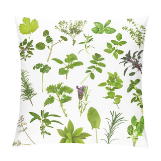 Personality  Large Herb Leaf Selection Pillow Covers