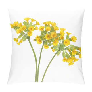Personality  Cowslip Flowers Pillow Covers