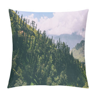 Personality  Beautiful Trees Growing In Scenic Mountains, Indian Himalayas, Rohtang Pass   Pillow Covers