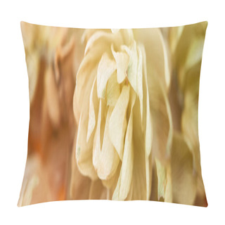 Personality  Close Up View Of Dry Hop Seed Cones On Yellow, Panoramic Shot Pillow Covers