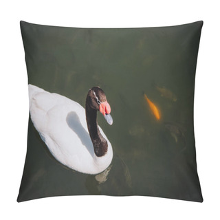Personality  Elevated View Of Swan Swimming Near Flock Of Fishes In Pond  Pillow Covers