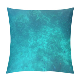 Personality  Underwater World Of The Red Sea In Egypt Pillow Covers