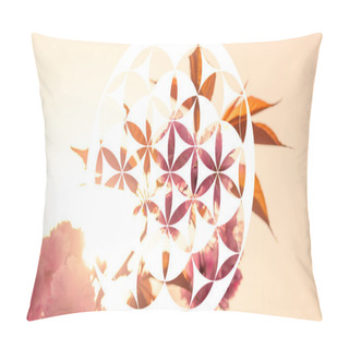 Personality  Life Energy Spiritual Symbol Over Nature Background With Sun Lig Pillow Covers