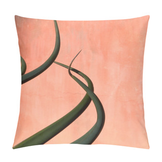Personality  Agave Curves Pillow Covers