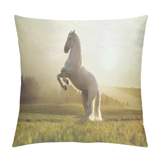 Personality  Majestic Photo Of Royal White Horse Pillow Covers