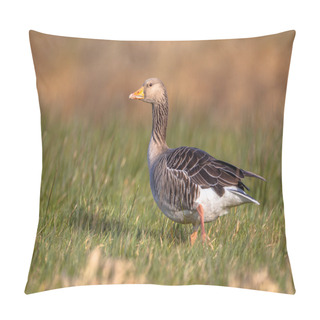 Personality  Greylag Goose Anser Anser Walking Through Grass Pillow Covers