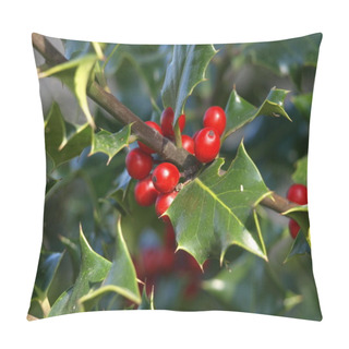 Personality  Holly Plant Pillow Covers