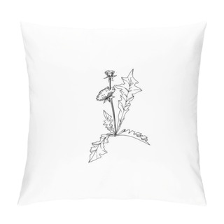 Personality  Vector Wildflowers Floral Botanical Flowers. Black And White Engraved Ink Art. Isolated Flower Illustration Element. Pillow Covers