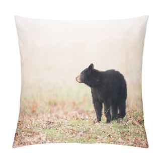 Personality  Black Bear Cub Pillow Covers