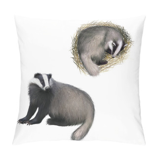 Personality  European Badger Sitting, Sleepping Badger Pillow Covers