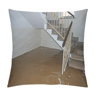 Personality  Scale Of A House Fully Flooded During The Flooding Of The River Pillow Covers