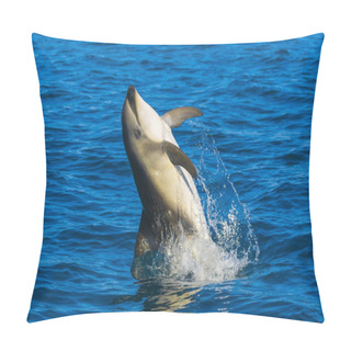 Personality  Dolphin Jumping From Water, Patagonia Pillow Covers