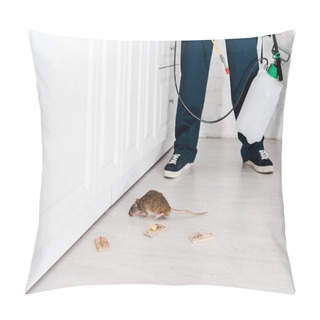 Personality  Cropped View Of Exterminator Standing Near Mousetraps And Rat  Pillow Covers