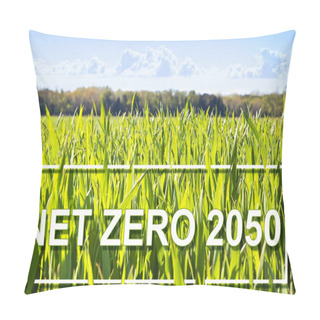 Personality  CO2 Net-Zero Emission And Carbon Neutrality Concept Against A Rural Scen Pillow Covers