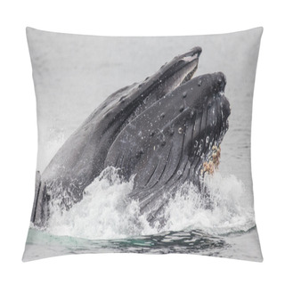 Personality  Humpback Whale Above Water Pillow Covers