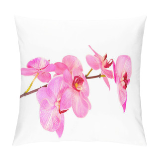 Personality Beautiful Blooming Orchid Isolated On White Pillow Covers