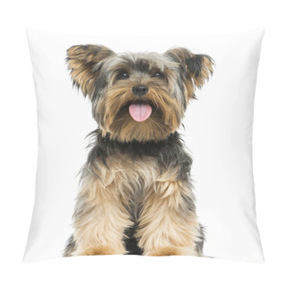 Personality  Front View Of A Yorkshire Terrier Sitting, Panting, 9 Months Old Pillow Covers