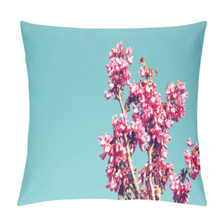 Personality  Image Of Spring Cherry Blossoms Tree. Selective Focus Photo. Pillow Covers