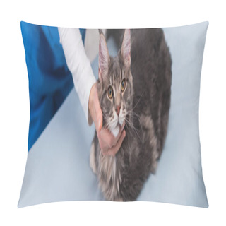 Personality  Cropped View Of Vet Doctor Examining Maine Coon On Medical Couch, Banner  Pillow Covers