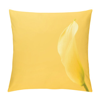 Personality  Close-up View Of Beautiful Romantic Yellow Calla Lily Flower Isolated On Yellow   Pillow Covers