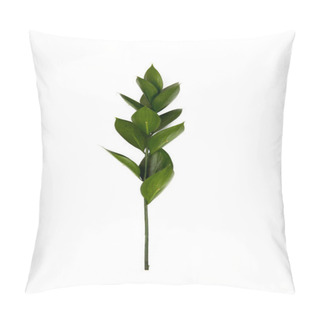 Personality Twig With Green Leaves Isolated On White Pillow Covers