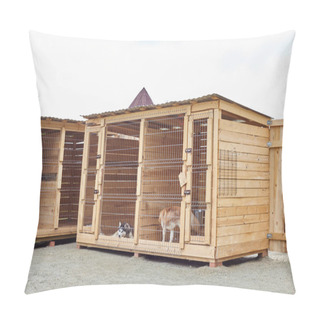 Personality  Dog Kennel With Siberian Husky. Pillow Covers