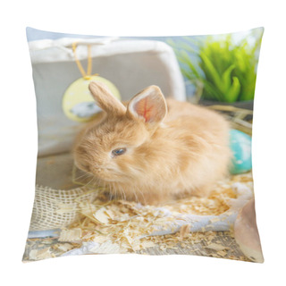 Personality  Close-up Of A Rabbit Sitting On Against A Wicker White Basket, Next To It Is A White Egg. Easter, Easter Bunny. Holiday Concept. Pillow Covers