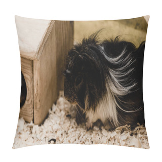 Personality  Selective Focus Of Furry Little Hamsters  Pillow Covers