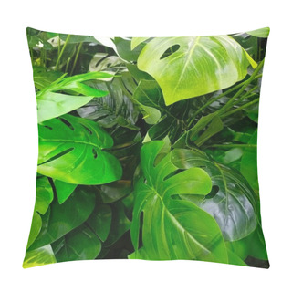 Personality  Closeup Natural View Of Tropical Green Leaves Background Pillow Covers