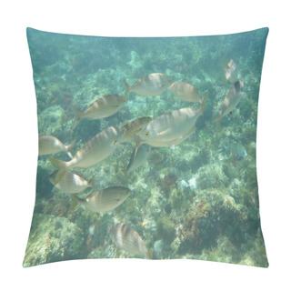 Personality  Shoal Of Fish Pillow Covers