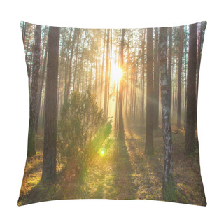 Personality  Sun In Spring Forest. Sunny Nature Landscape In Forest Park In Beautiful Morning Pillow Covers