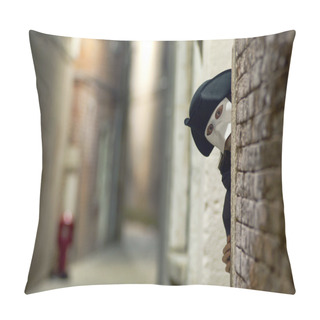 Personality  Stranger In The Venetian Mask Pillow Covers
