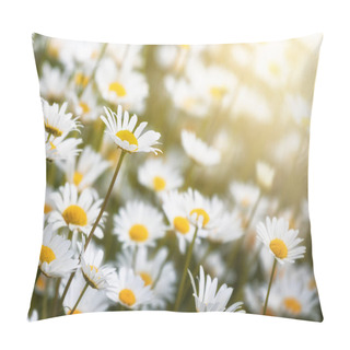 Personality  Closeup Of A Meadow Of Daisies  Pillow Covers