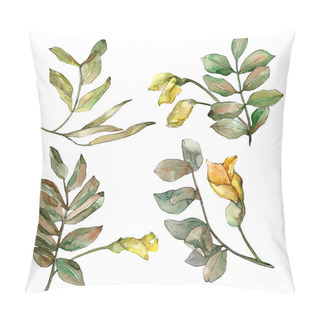 Personality  Autumn Green Acacia Leaves. Leaf Plant Botanical Garden Floral Foliage. Isolated Illustration Element. Pillow Covers