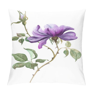 Personality  Flowers A Branch Of Roses With Leaves, Flowers And Buds. Watercolor. Use Printed Materials, Signs, Objects, Websites, Maps, Posters, Postcards, Packaging. Pillow Covers