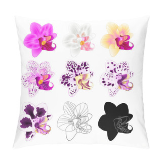 Personality  Orchid Phalaenopsis Various Colours Natural, Outline, Silhouette,flower Fifth On A White Background Vintage Vector Editable Illustration Hand Draw  Pillow Covers