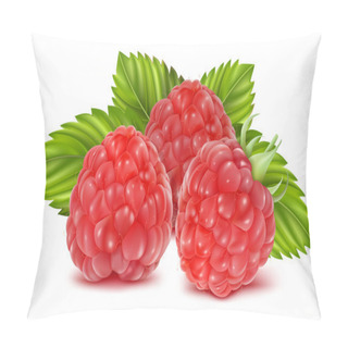 Personality  Vector Illustration Of Ripe Raspberries. Pillow Covers