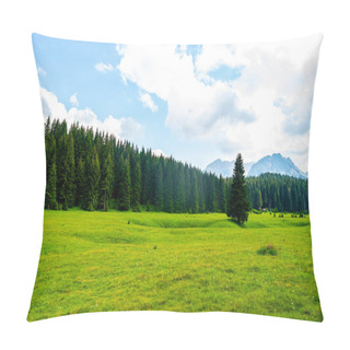 Personality  Beautiful Green Valley With Forest In Durmitor Massif, Montenegro Pillow Covers