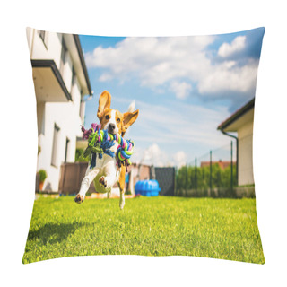Personality  Beagle Dog Running With A Toy In Garden, Towards The Camera Pillow Covers