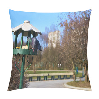 Personality  Central Alley In The Lilac Garden Of Moscow Pillow Covers