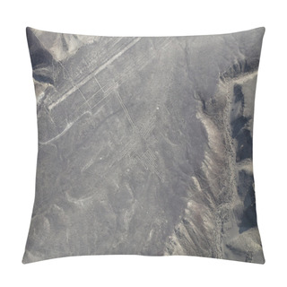 Personality  Aerial View Of Nazca Lines - Hummingbird Geoglyph, Peru. Pillow Covers
