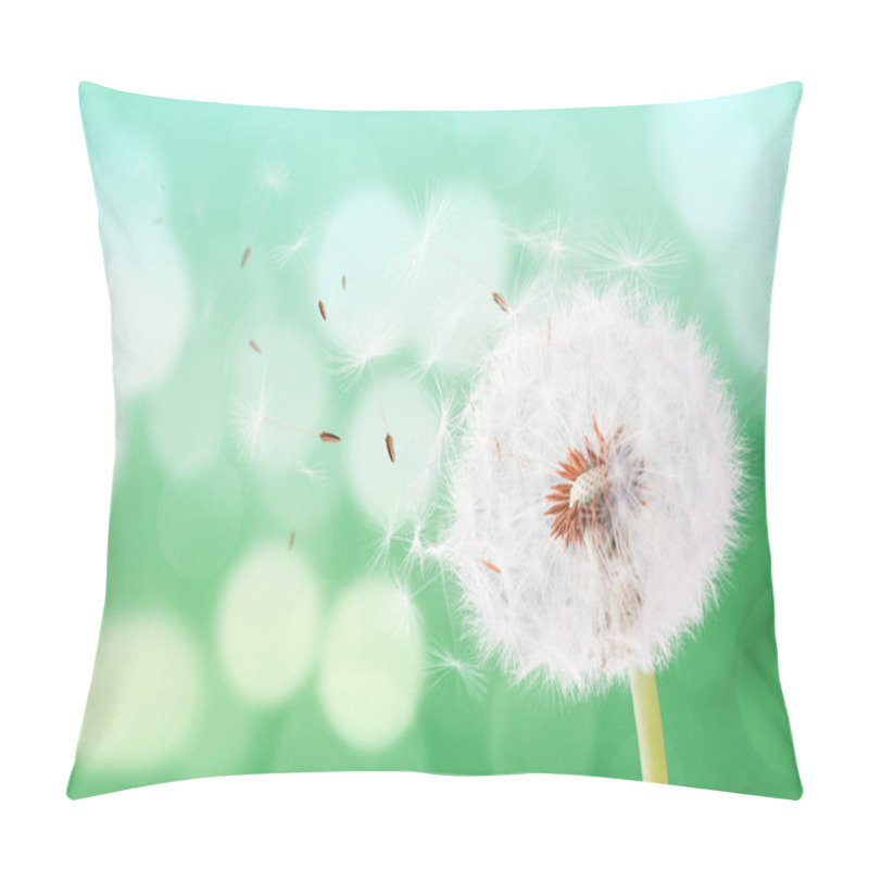 Personality  Dandelion flying on bokeh background pillow covers