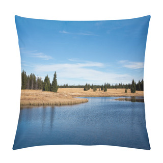 Personality  Dead Pond, Ore Mountains, Czech Republic Pillow Covers