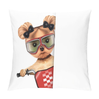 Personality  Funny Racer Dog With Bicycle. Sport Concept Pillow Covers